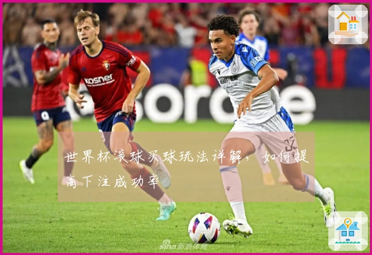 世界杯滚球买球玩法详解，如何提高下注成功率