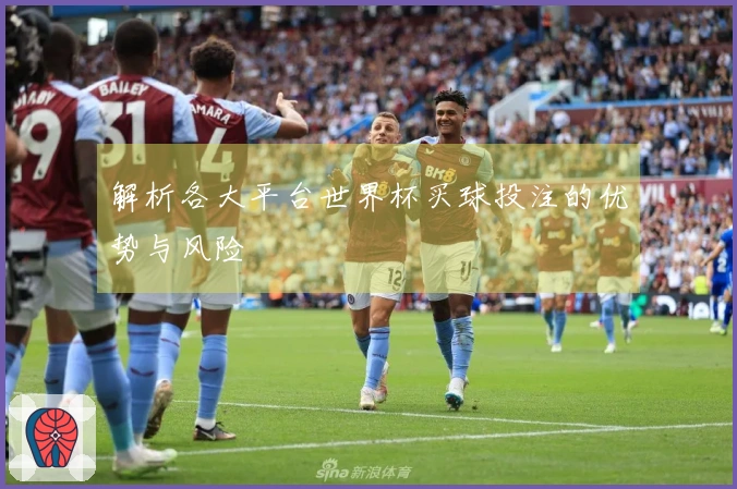 解析各大平台世界杯买球投注的优势与风险