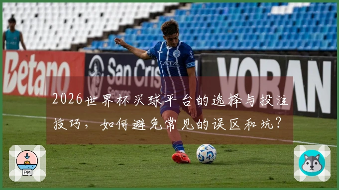 2026世界杯买球平台的选择与投注技巧，如何避免常见的误区和坑？