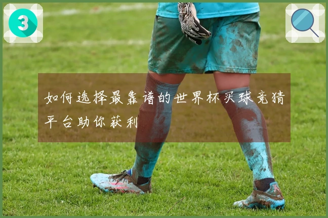 如何选择最靠谱的世界杯买球竞猜平台助你获利