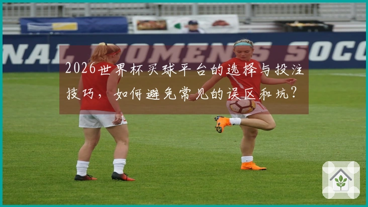 2026世界杯买球平台的选择与投注技巧，如何避免常见的误区和坑？