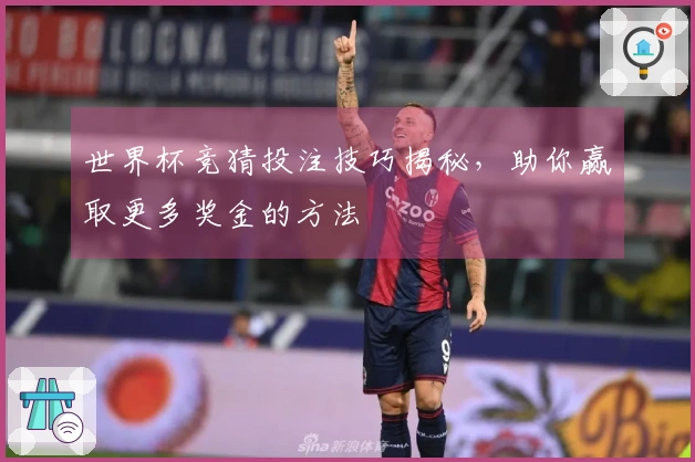 世界杯竞猜投注技巧揭秘，助你赢取更多奖金的方法