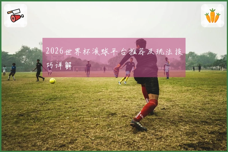 2026世界杯滚球平台推荐及玩法技巧详解