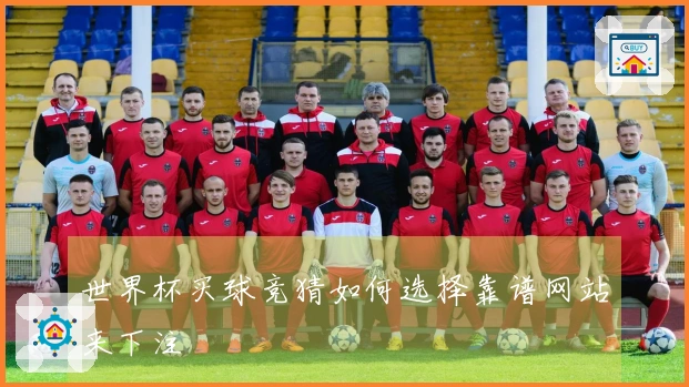 世界杯买球竞猜如何选择靠谱网站来下注