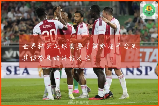 世界杯买足球前要了解哪些平台及其信誉度的评估方法