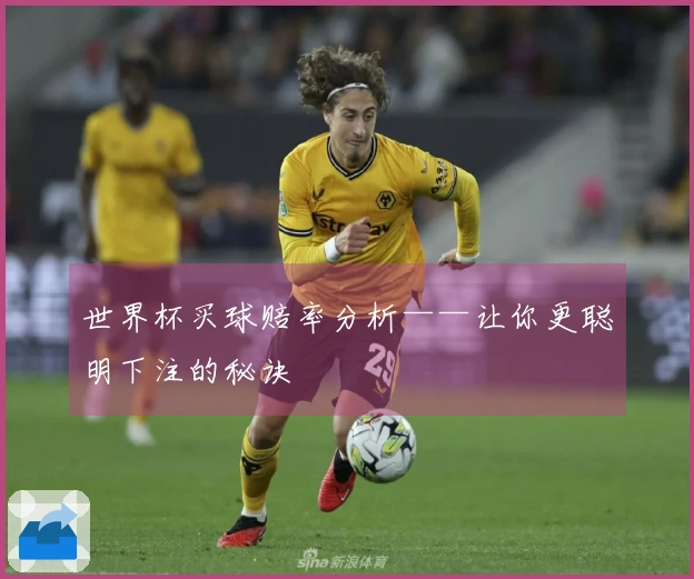 世界杯买球赔率分析——让你更聪明下注的秘诀