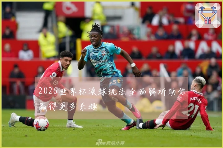 2026世界杯滚球玩法全面解析助你赢得更多乐趣