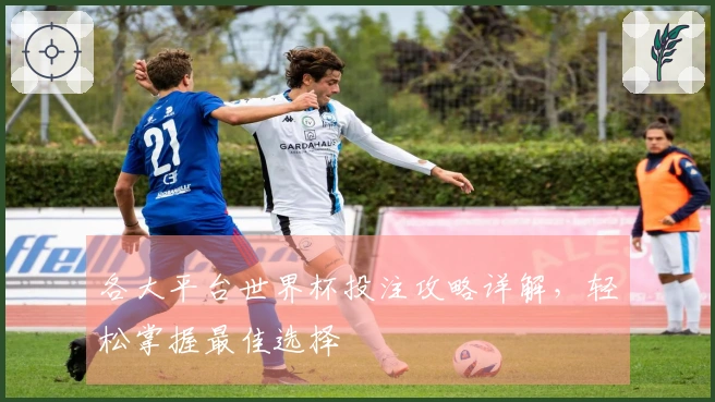 各大平台世界杯投注攻略详解，轻松掌握最佳选择