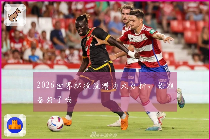2026世界杯投注潜力大分析，你准备好了吗
