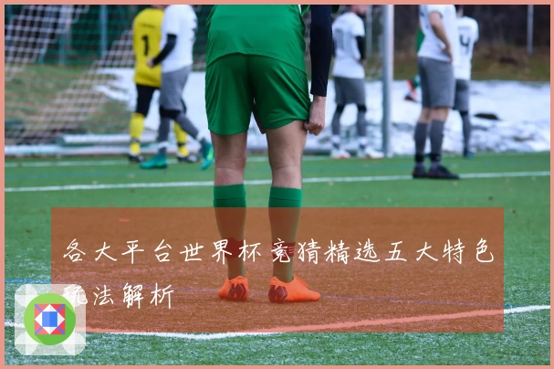 各大平台世界杯竞猜精选五大特色玩法解析