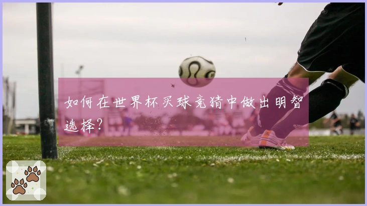 如何在世界杯买球竞猜中做出明智选择？