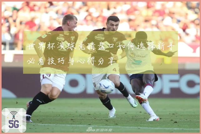 世界杯滚球竞猜盘口如何选择新手必看技巧与心得分享