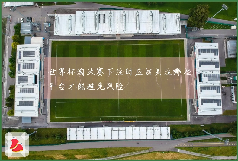 世界杯淘汰赛下注时应该关注哪些平台才能避免风险