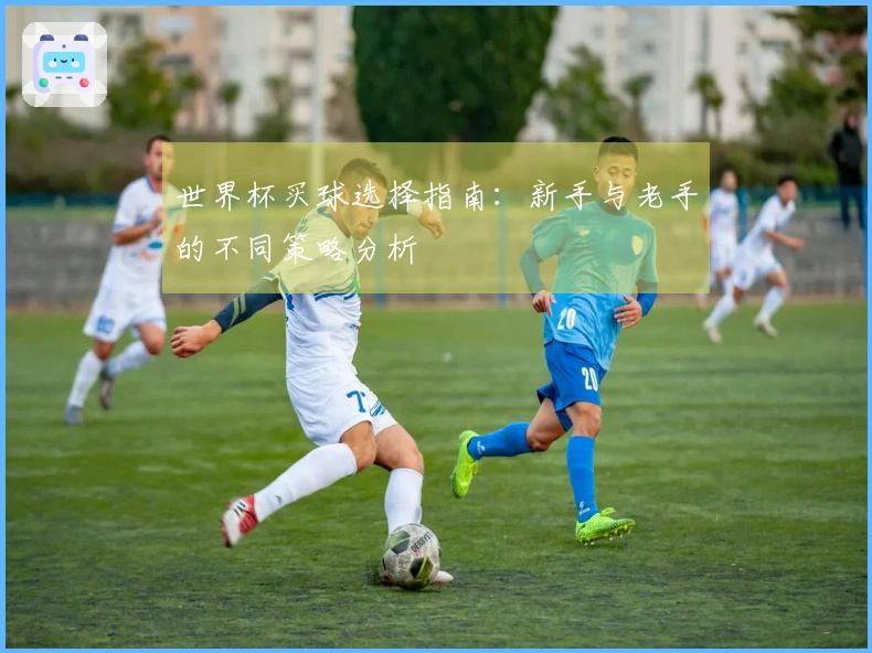 世界杯买球选择指南：新手与老手的不同策略分析