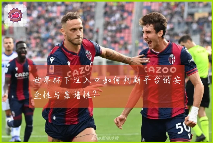 世界杯下注入口如何判断平台的安全性与靠谱性？