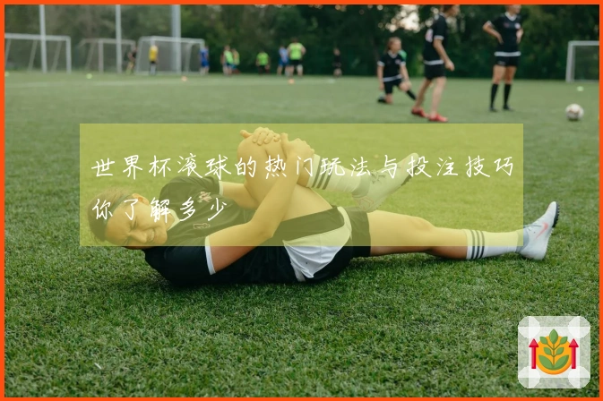 世界杯滚球的热门玩法与投注技巧你了解多少