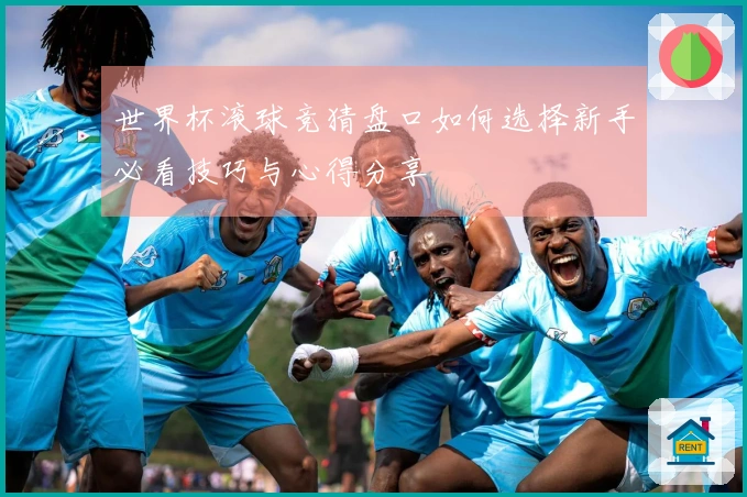 世界杯滚球竞猜盘口如何选择新手必看技巧与心得分享