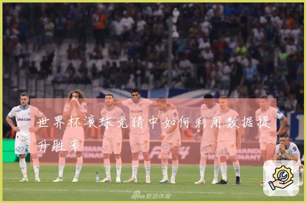 世界杯滚球竞猜中如何利用数据提升胜率