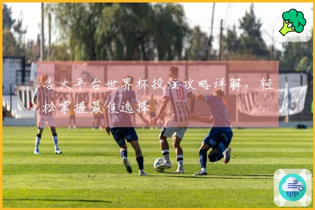 各大平台世界杯投注攻略详解，轻松掌握最佳选择