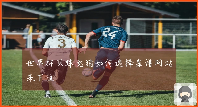 世界杯买球竞猜如何选择靠谱网站来下注