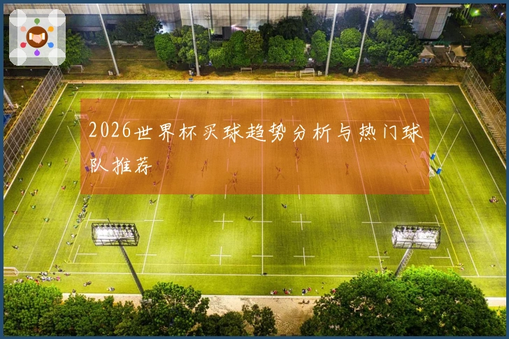 2026世界杯买球趋势分析与热门球队推荐